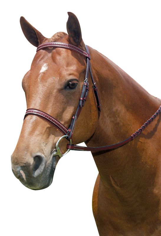 Kincade Braided Bridle