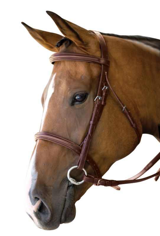 Kincade Square Raised Bridle