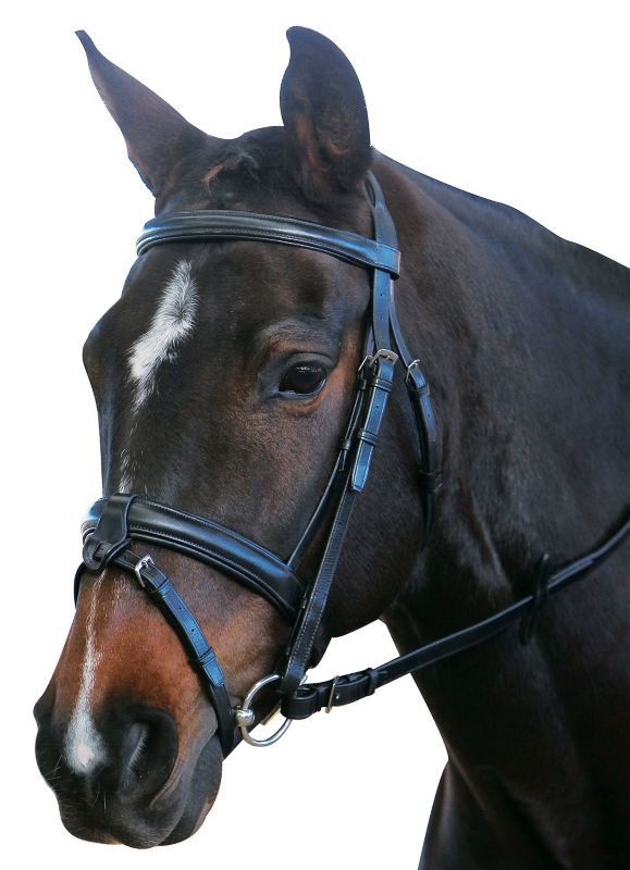 Kincade Flash Bridle