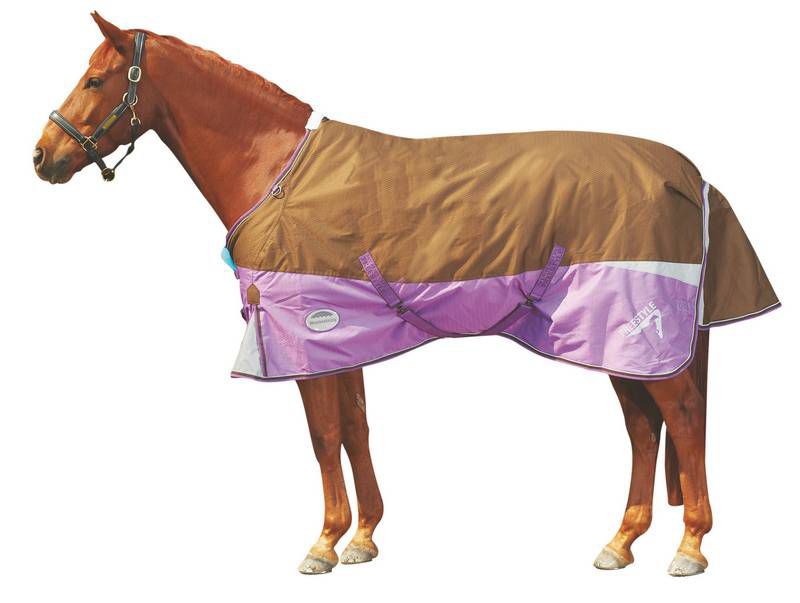 Weatherbeeta Freestyle 600 Blanket 220g