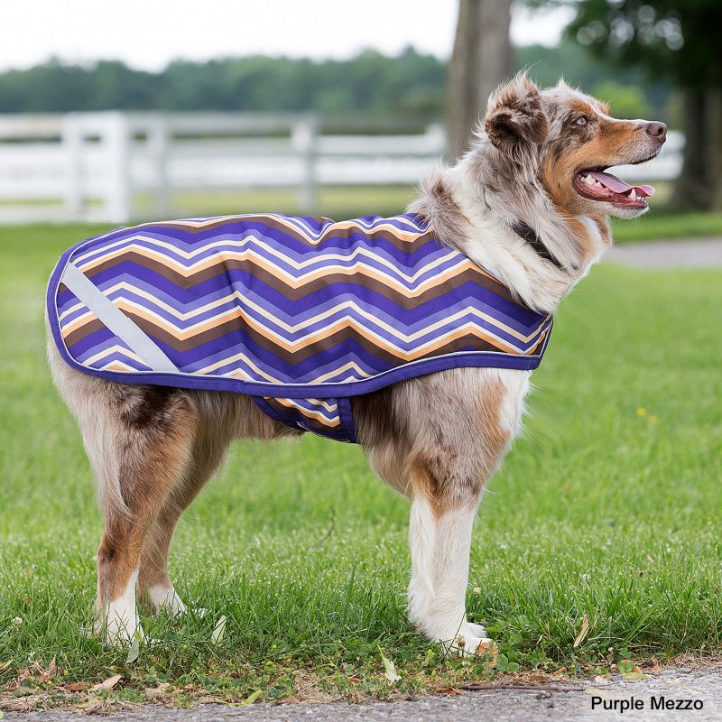 Horseware Amigo Mio 600 Denier Dog Blanket