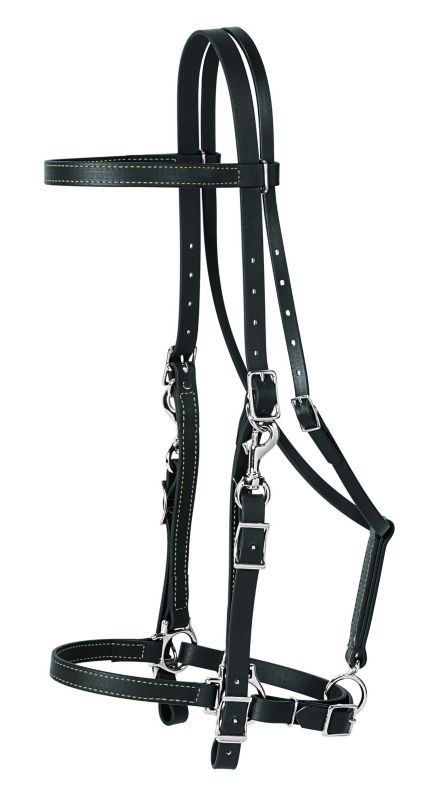 Weaver Brahma Synthetic Halter Bridle