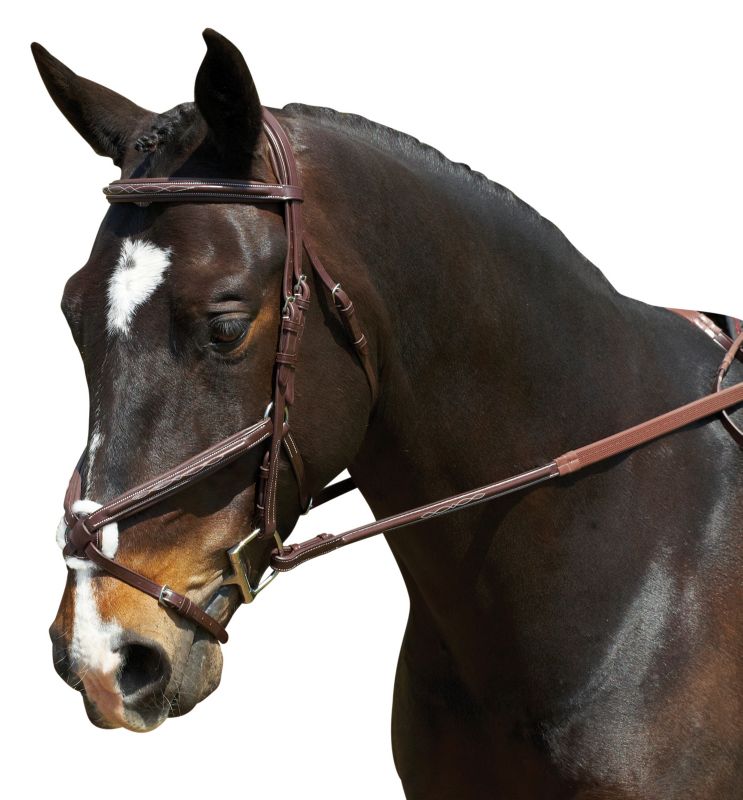 Collegiate Comfort Crown Figure 8 Bridle