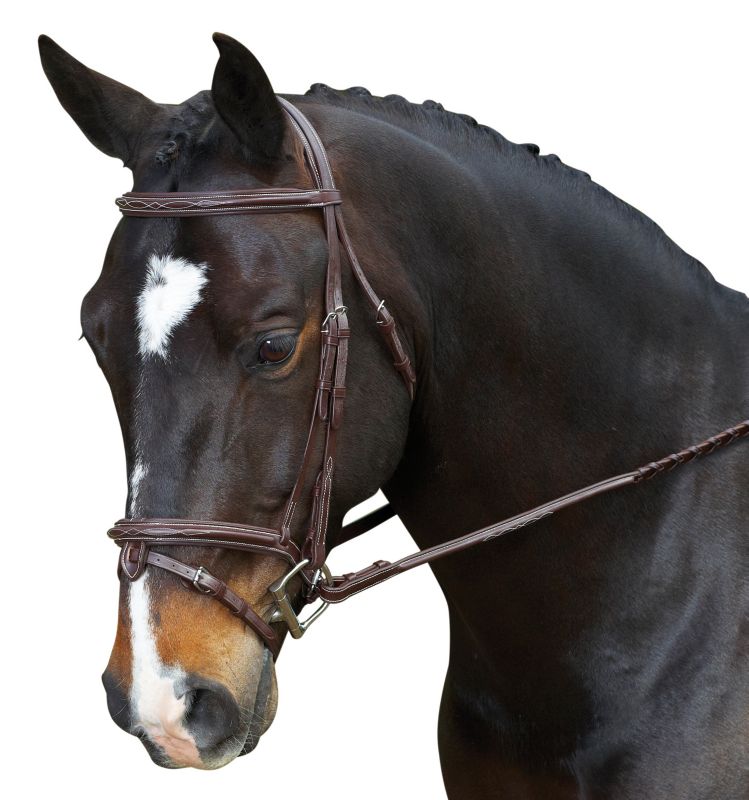 Collegiate Fancy Removable Flash Bridle