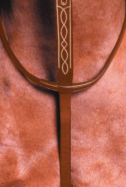 Collegiate Flat Running Martingale