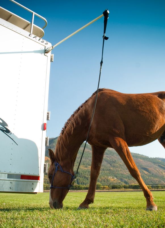 The HiTie Trailer Tie System
