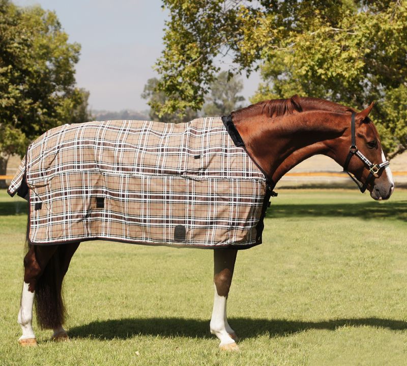 Kensington All Season 3-In-1 Blanket