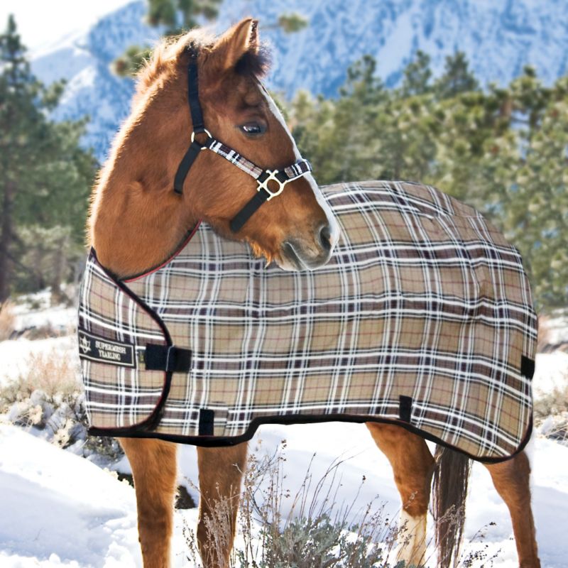 Kensington SuperMesh Yearling Blanket