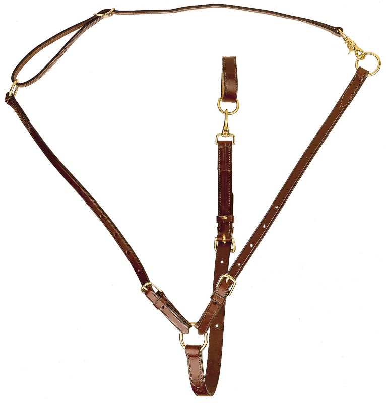 Tory Leather Training Martingale
