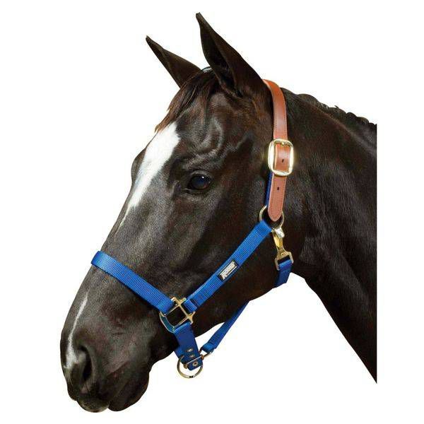 Roma Breakaway Halter