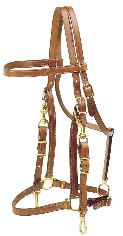 tory harness