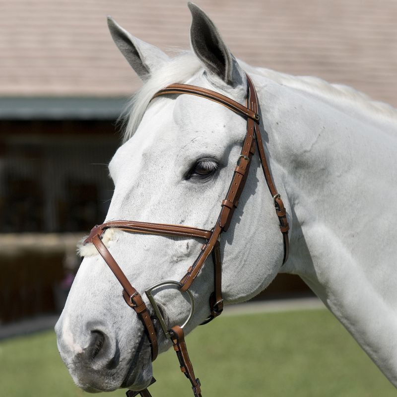 Pessoa Legacy Padded Jumper Bridle
