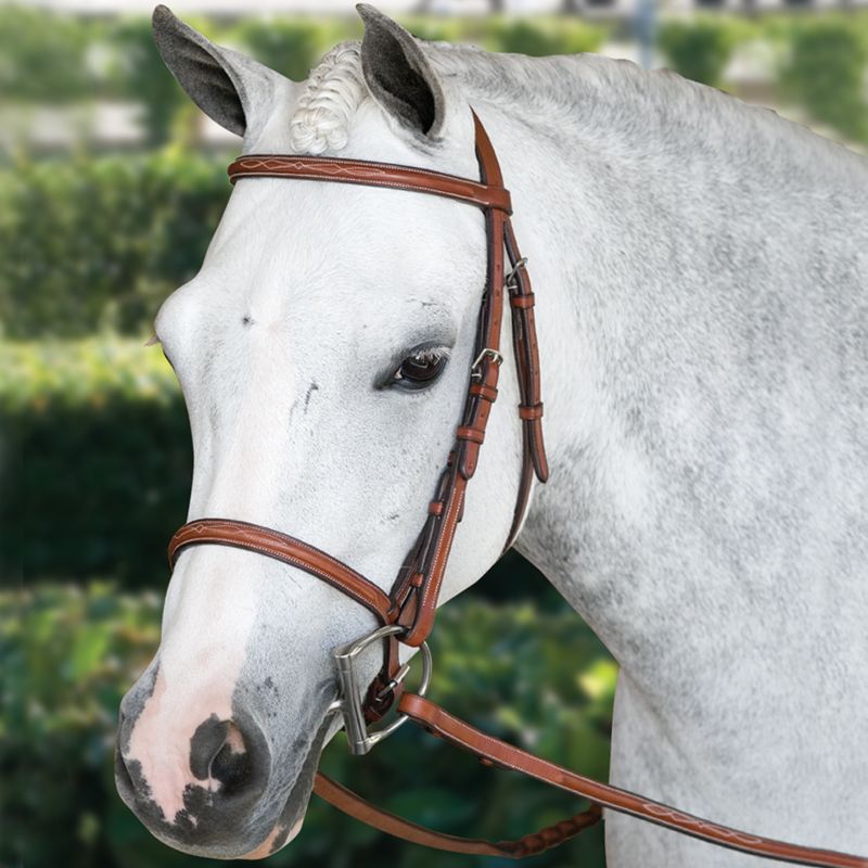 Pessoa Fancy Raised Bridle w/Laced Reins