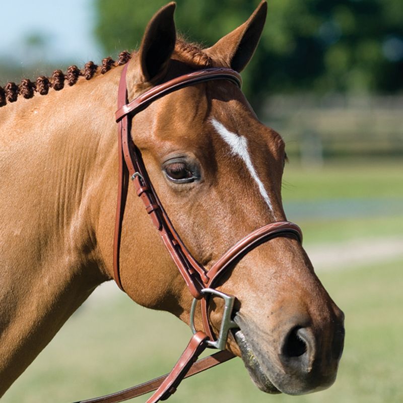 Pessoa Fancy Padded Bridle w/Reins