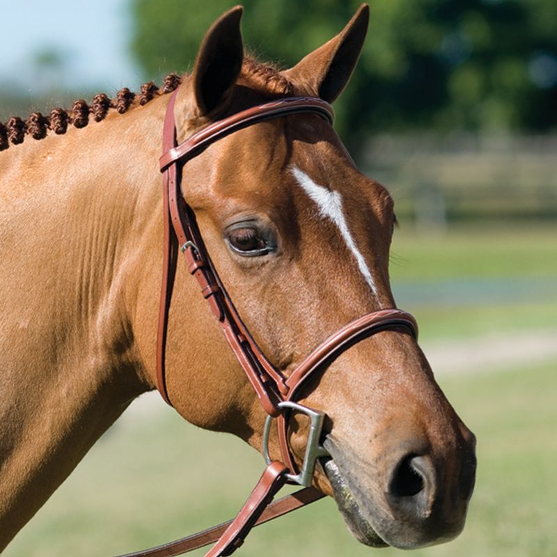 Pessoa Fancy Raised Padded Bridle