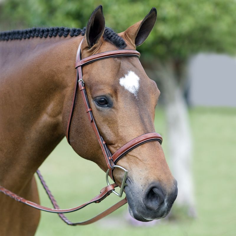 Pessoa Fancy Wide Padded Show Bridle