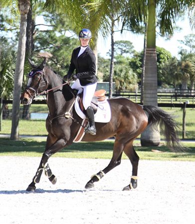 Equine Couture Ladies Ingate Show Coat