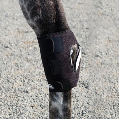 Ice Horse Hock Wrap-Single