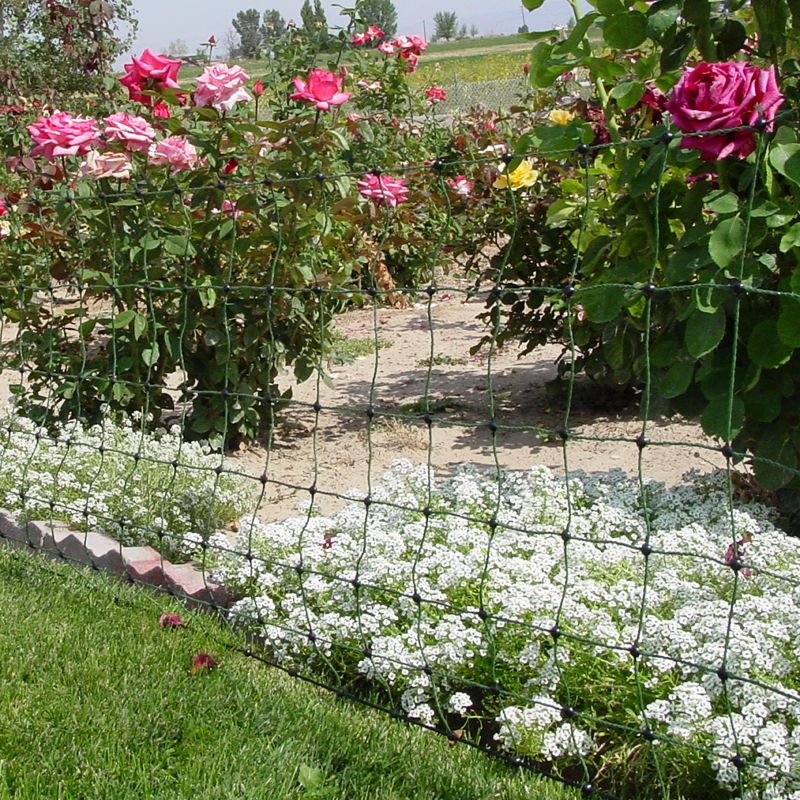 Electric Garden Netting