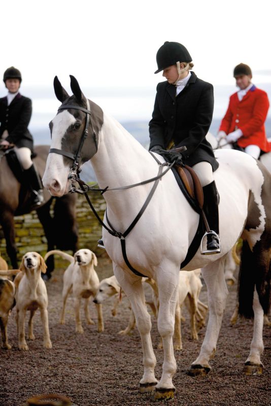 Shires Ladies Clinton Frock-Style Hunt Coat
