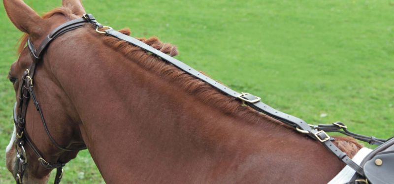Shires Daisy Rein