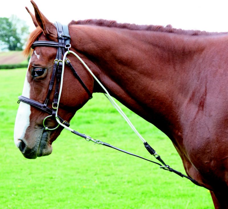 Shires De Gogue Training Martingale