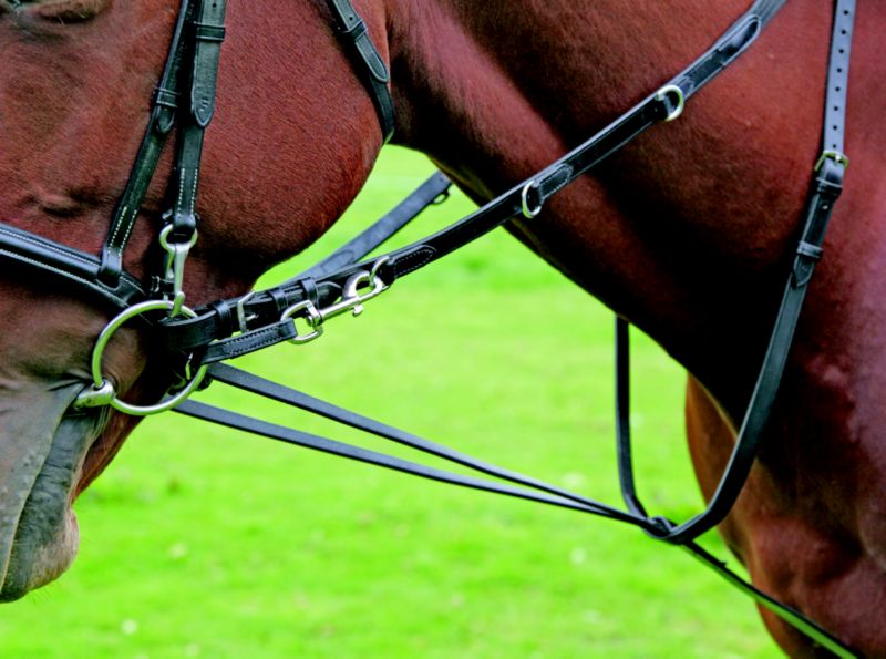Shires German Martingale