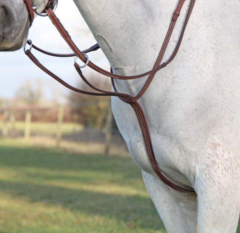 Shires Fancy Running Martingale