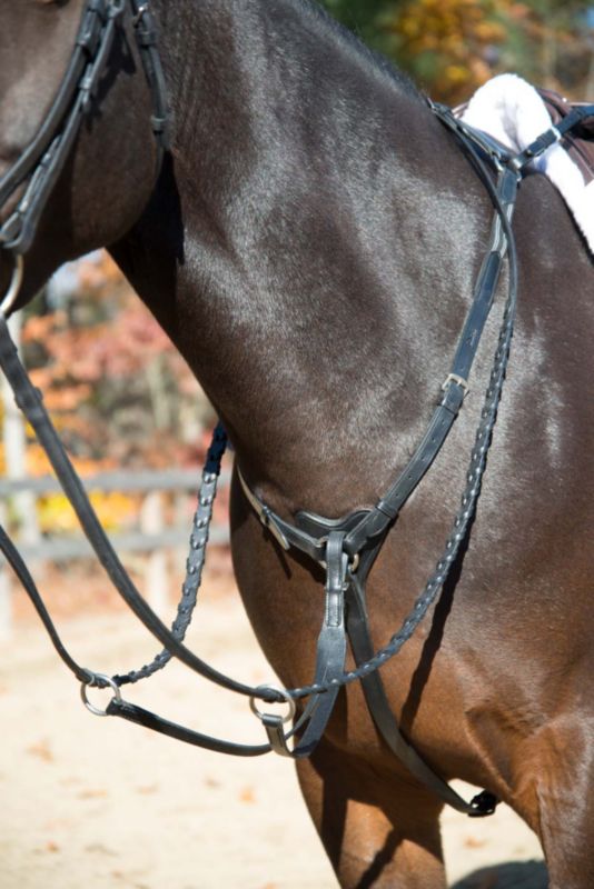 Shires 3 Point Breastplate