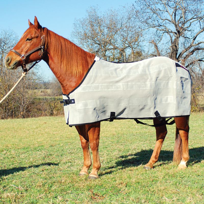 Classic Equine Magntx Fly Sheet