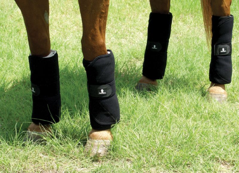 Classic Equine Stress Guard Wraps