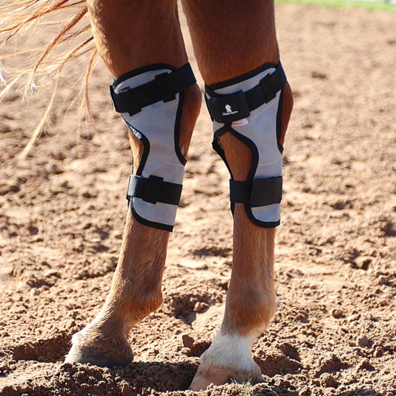 Classic Equine Magntx Hock Wrap