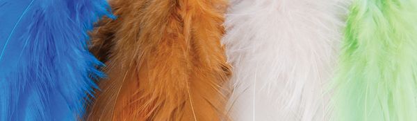 Gypsy Soule Feathers Indian Angel