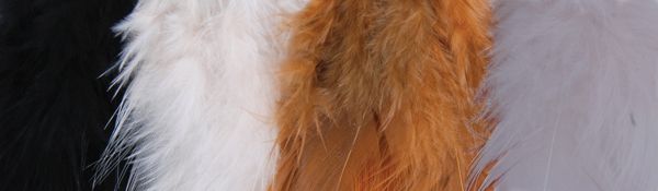 Gypsy Soule Feathers Soule Warrior