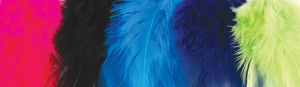 Gypsy Soule Feathers Wild Child
