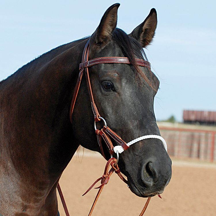 Classic Equine SS Braided Leather Nose Hackamore