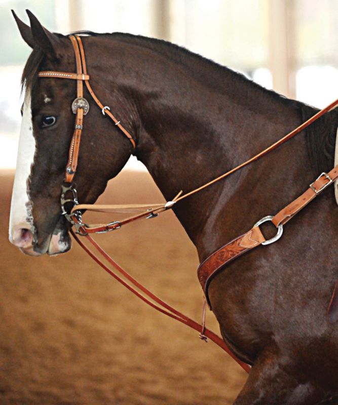 Martin German Martingale with Roping Reins