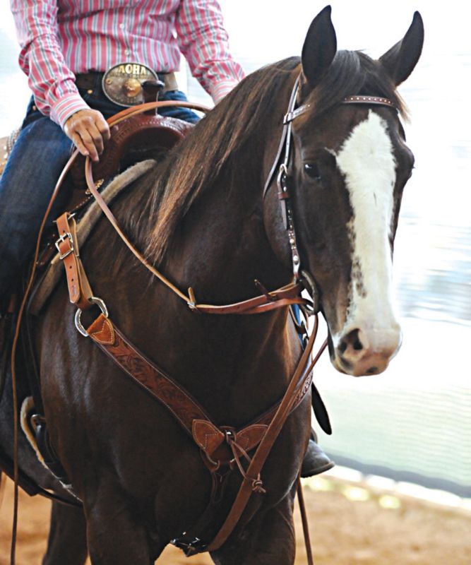 Martin German Martingale with Split Reins
