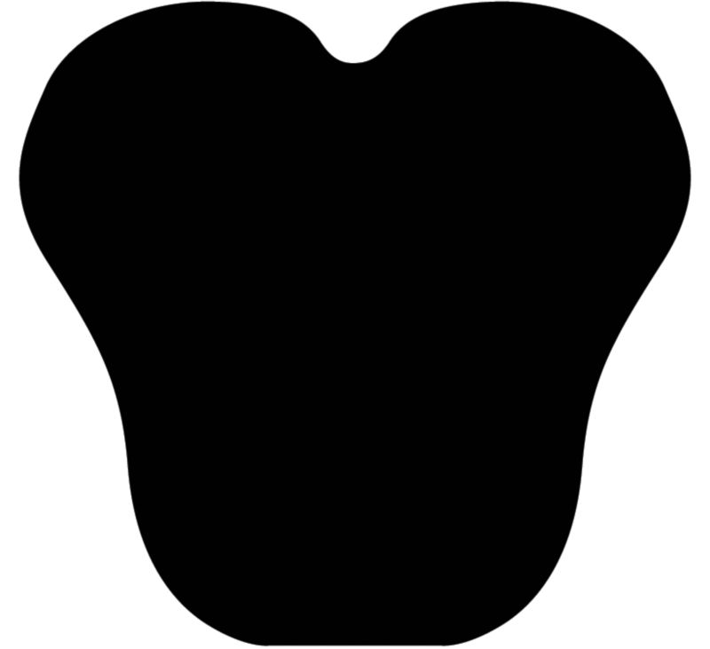 Cashel Western Contour Cushion Pad