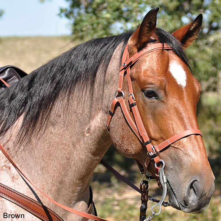 Cashel Biothane Halter Bridle