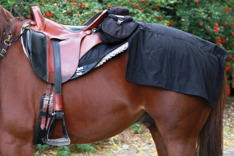 Cashel Horse Rump Warmer