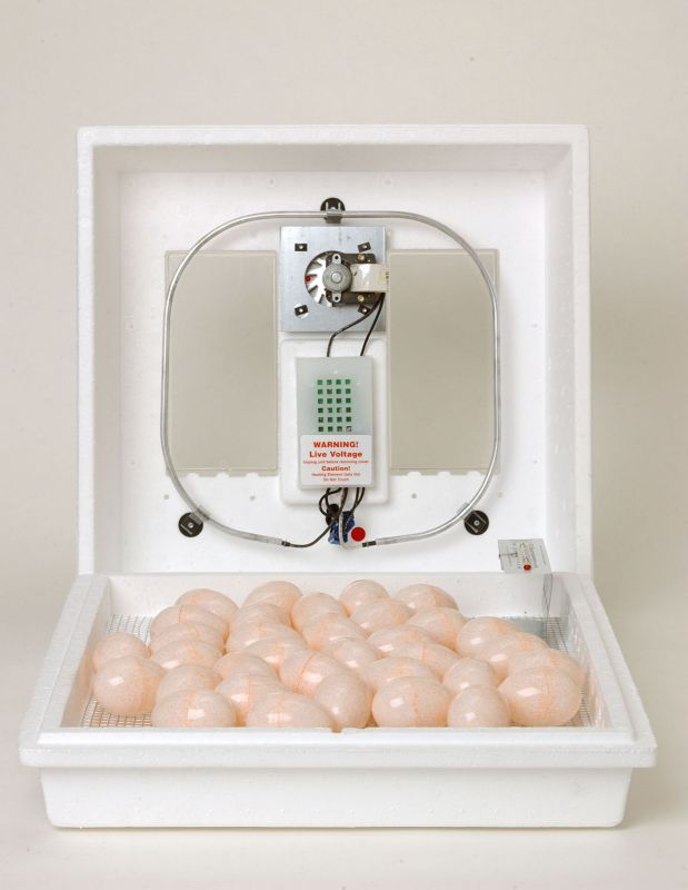 Circulated Air Incubator