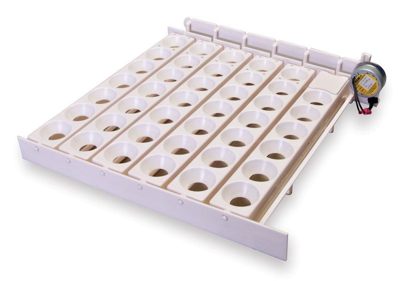 Little Giant Automatic Egg Turner