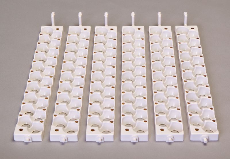 Little Giant Six Small Egg Rails Boxed