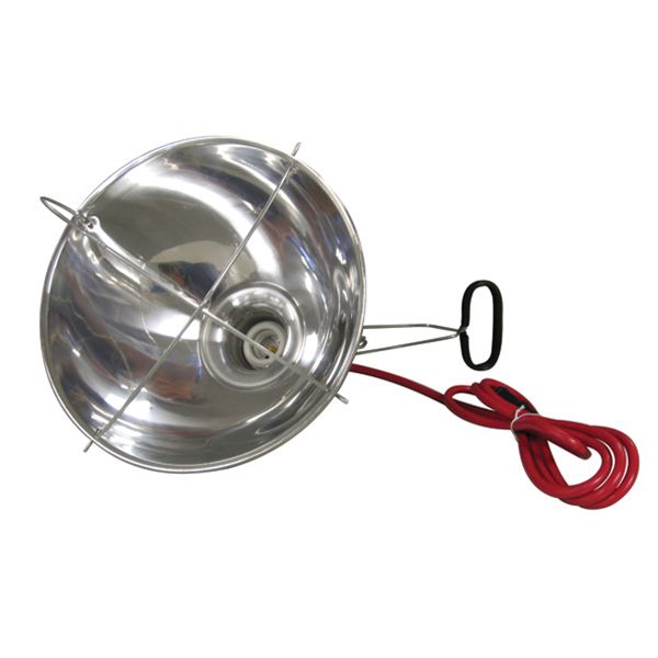 Brooder Heat Lamp