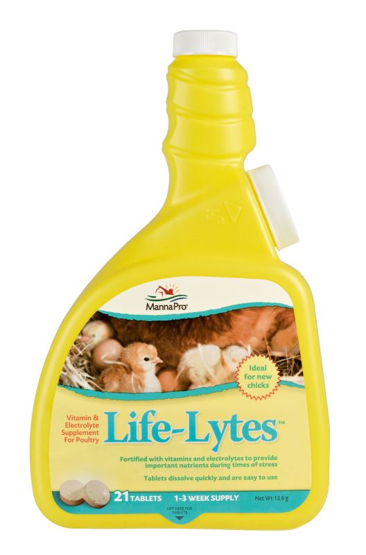 Life Lytes Vitamin & Electrolytes Supplement