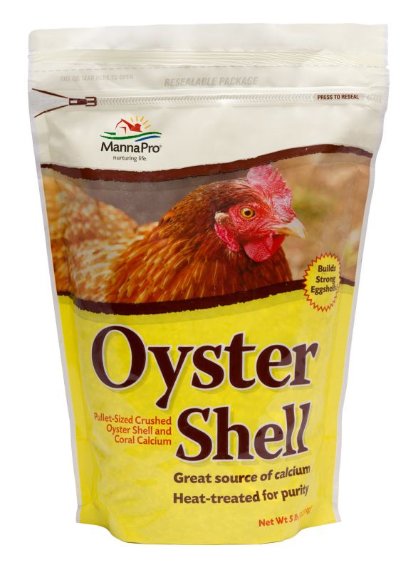 Oyster Shell