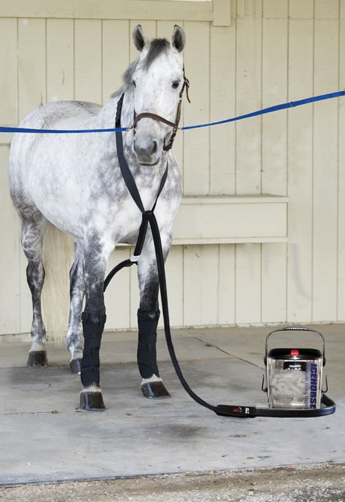 Ice Horse Cold Therapy System-Trainer