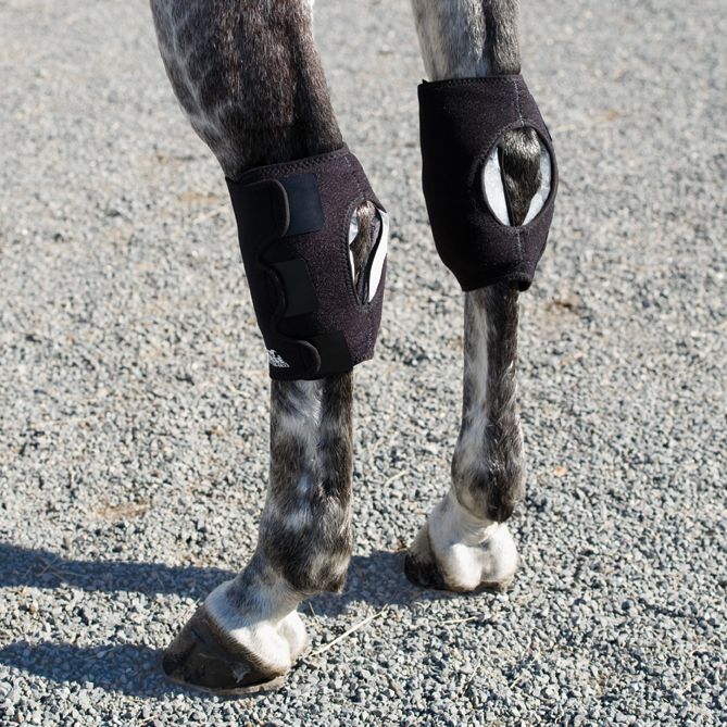 Ice Horse Hock Wrap-Pair