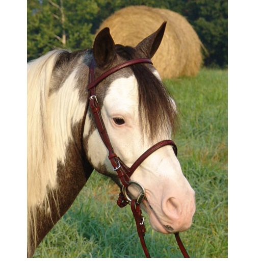 LLLEBP Ozark Mini/Pony English Leather Bridle Pony sku LLLEBP